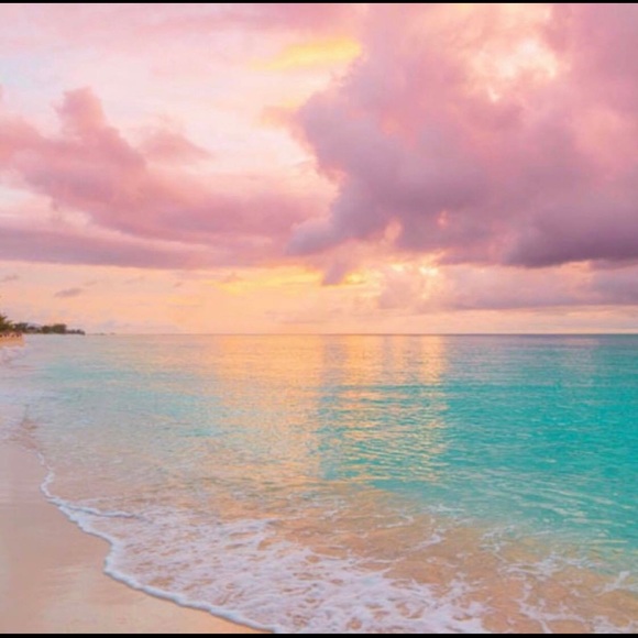 Meet your Posher, Giselle - Picture 1 of 1